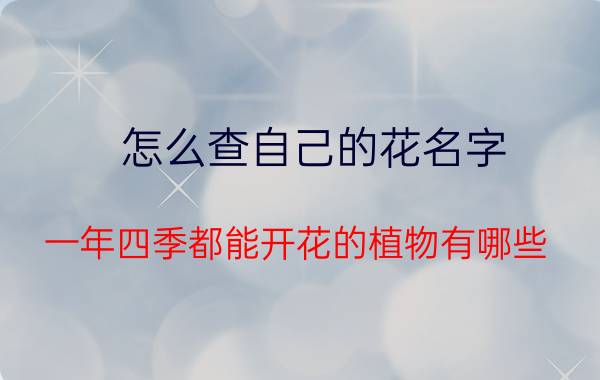 怎么查自己的花名字 一年四季都能开花的植物有哪些？